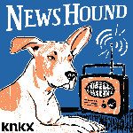 KNKX News Hound Magnet-NEW